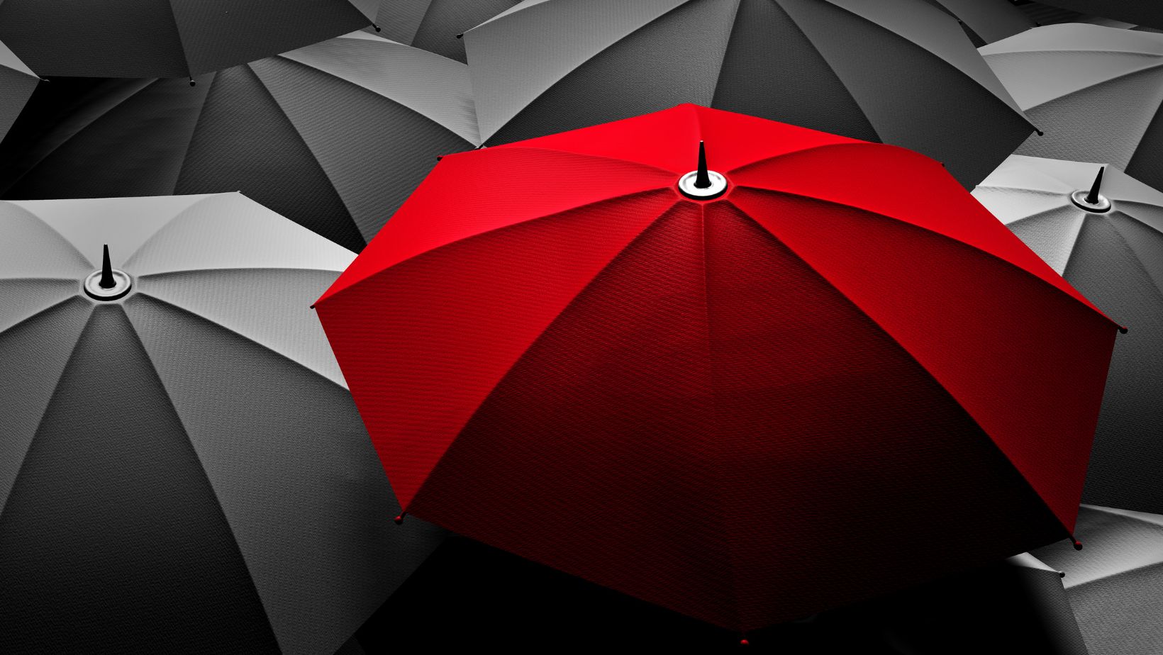 an open deep red umbrella in a sea of black umbrellas